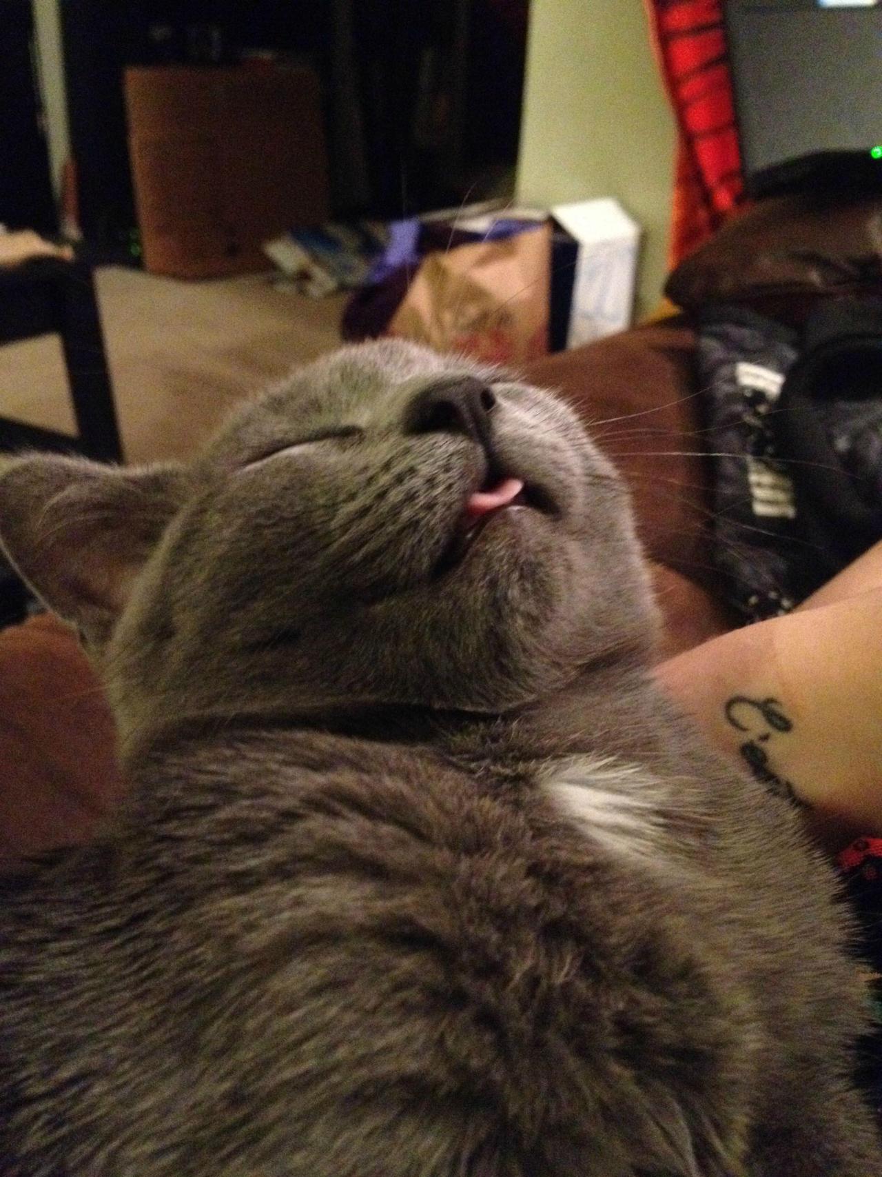 tumblr_n9hcjcwW7b1ta83ebo7_1280.jpg