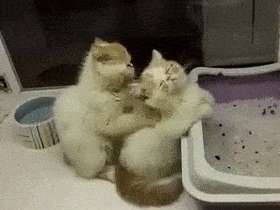 안마.gif