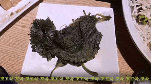 깻잎2.gif