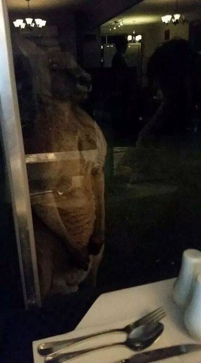 201704_5612127_0.jpg