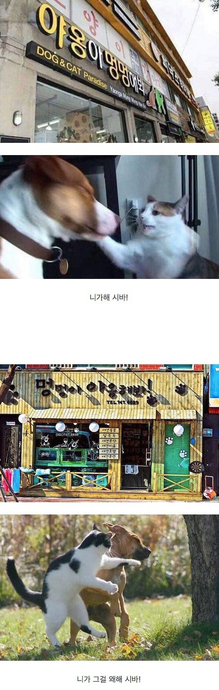 ㅇㅇㅇ.jpg