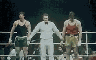 ccb4f7bef508f3fc2a0ac63e5269182b_gCoLsaH9ZfkN9njVUomR5QM.gif