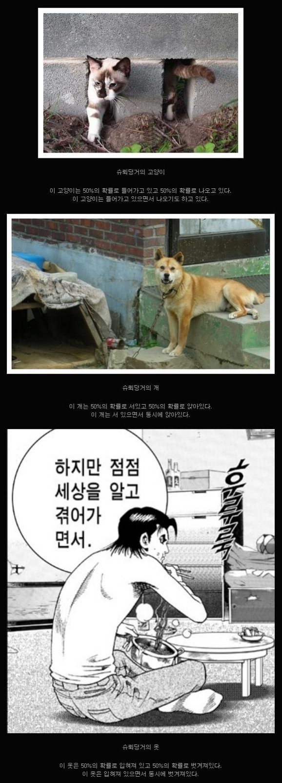 슈뢰됭거의물리학.jpg