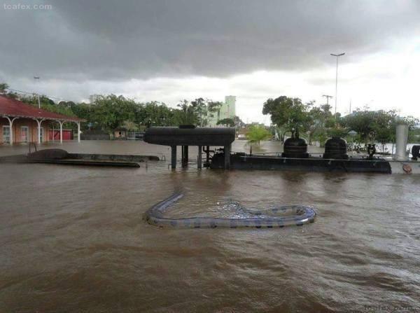 브라질의 홍수.jpg