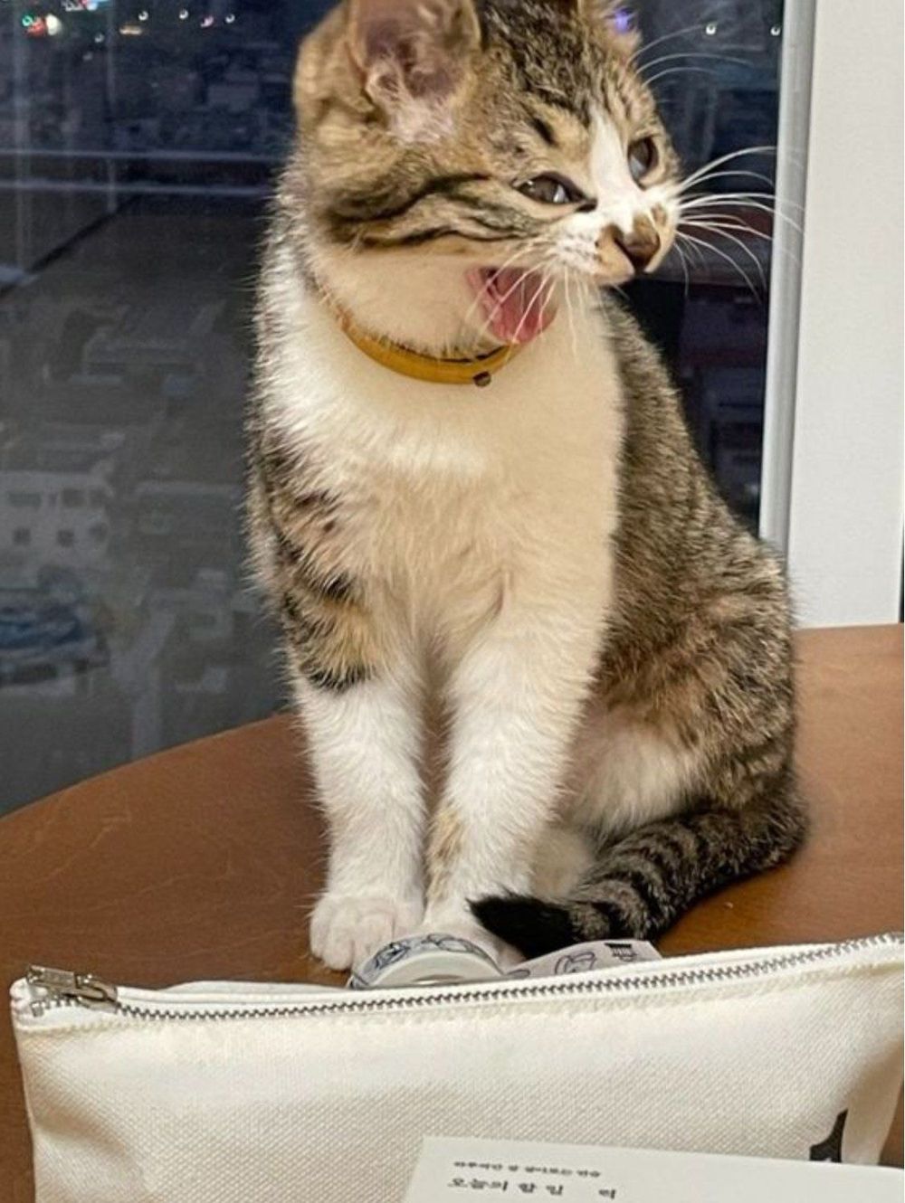 a8cf309b8f995b52c9f17d6623f09e4e8896f567763e0611d90c99b86eacee2b.jpg