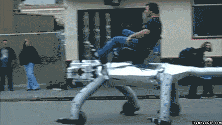 i3746003770.gif