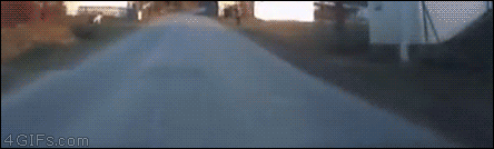 ejfzZwF.gif