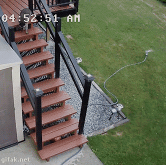 168d4863b736b95d3e11a7cee54556a7.gif