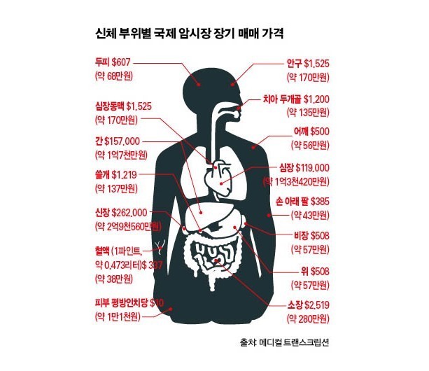 신체_~~1.JPG