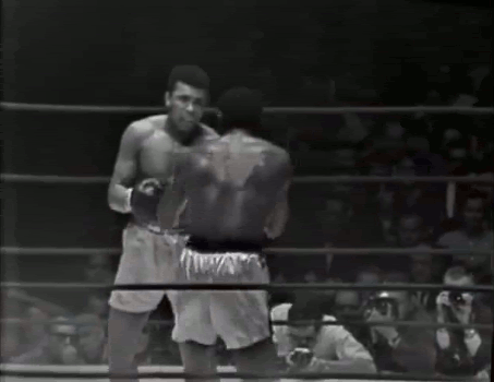 반사신경2.gif