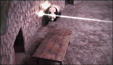 1028493886_Y78mqREj_1.gif