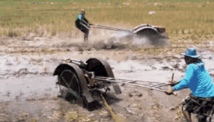 120afa3b3639486a98d8a7009f730e59.gif