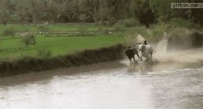 5683247905294ea0a0e805fa66182819.gif