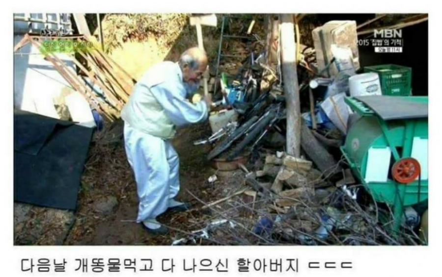 개똥7.png
