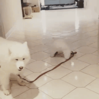 갑시다 가요.gif