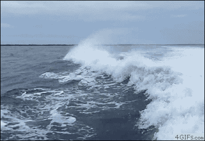 hu_1.gif