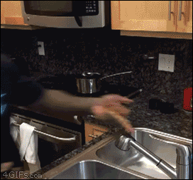 움짤유머.gif