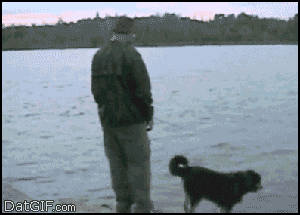 뭐하냐.gif
