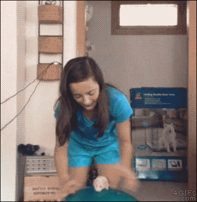 0f563bc18d4cea62af8c95049e896644.gif