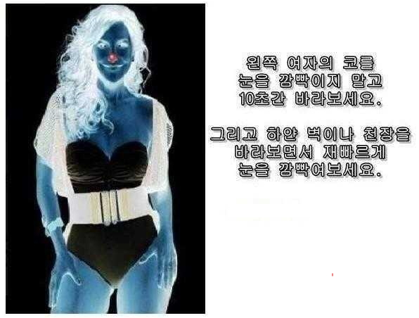 이미지 5.jpg