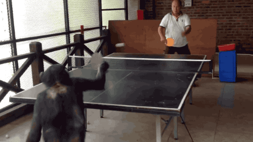 씨익.gif