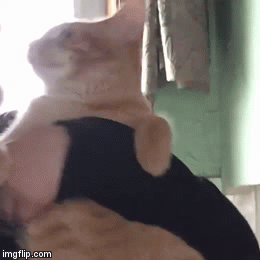 1469888646522.GIF