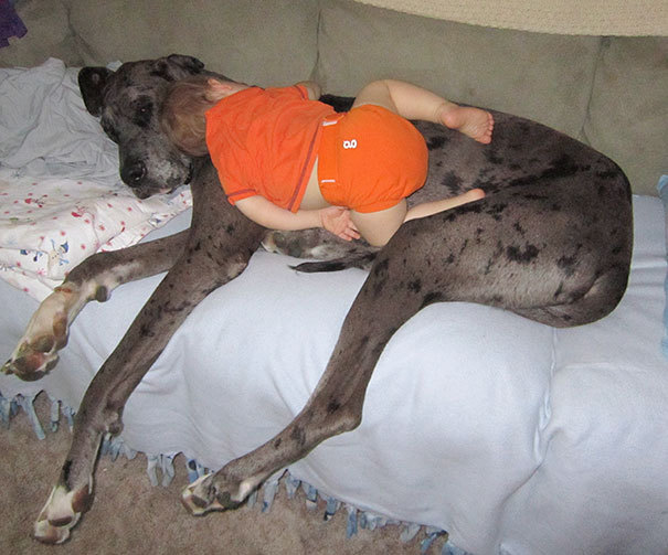 sleep4.jpg
