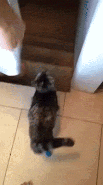 5058416.gif
