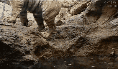 열탕.gif