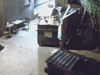5813033576aee67c1a623b27c3f0d71b_i6lxnHsjeKltuHJcemTOE5KB.gif