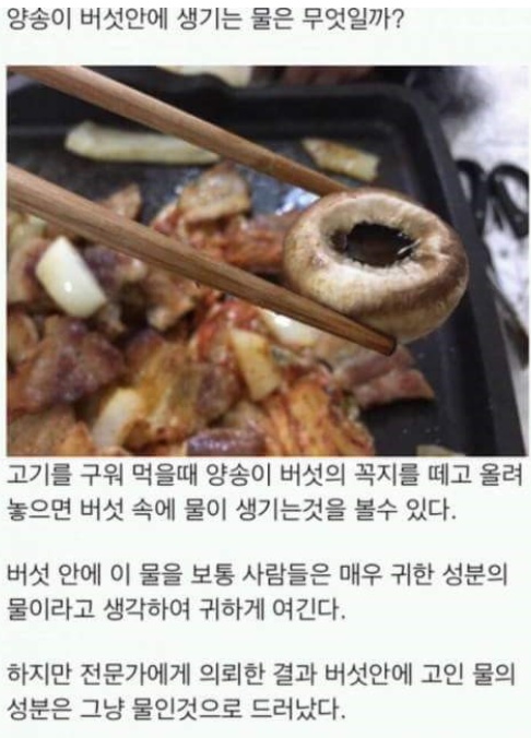 naver_com_20170510_161312.jpg
