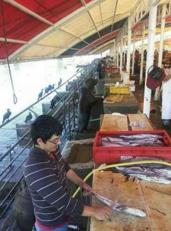생선가게 알바.jpg