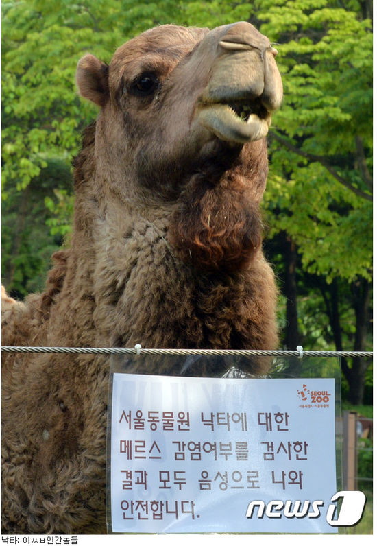 작년에 제일 억울함2.png