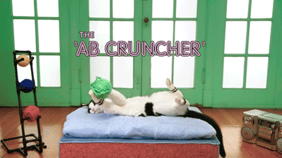 c89a1b8bbeb5c4c6241af606b6299f7f_k2erm7c8DbewCT1NQKXMAl5.gif