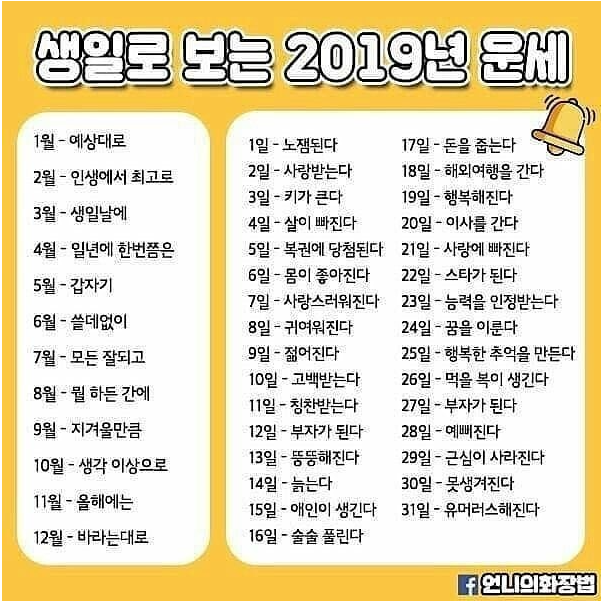 재미로 보는 2019년 운세.png