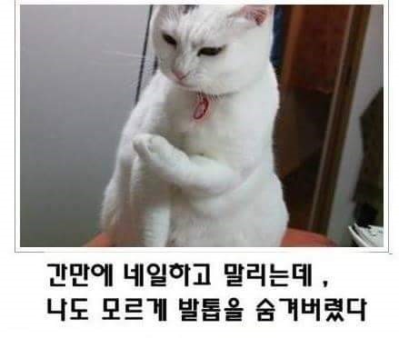 제목4.jpg