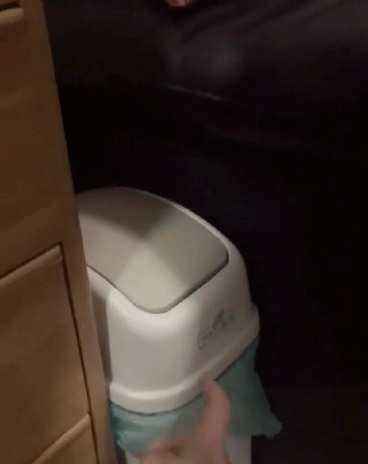 2106410142_Gp7gFfcR_meowed_BuXbKBTgyQB_1.gif