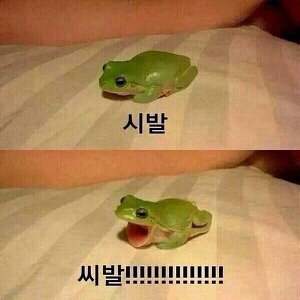 KakaoTalk_20151113_184915657.jpg