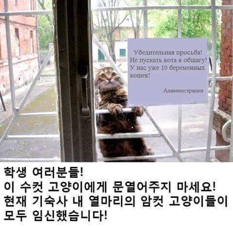 어느 기숙사의 경고문.jpg