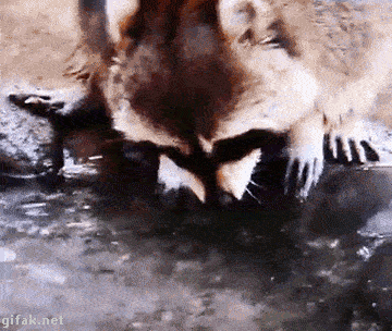 321-321.gif