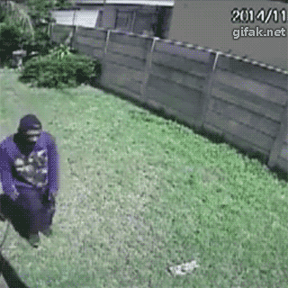 HQw566ec08f3094c_SADPS17iJvxpBx.gif