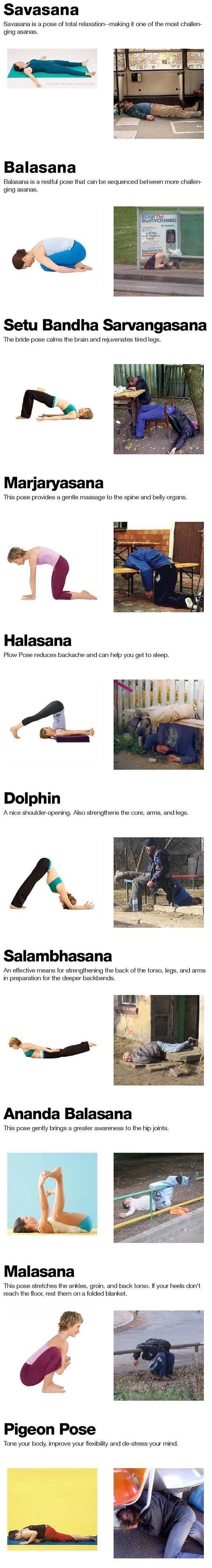 요가의생활화.jpg