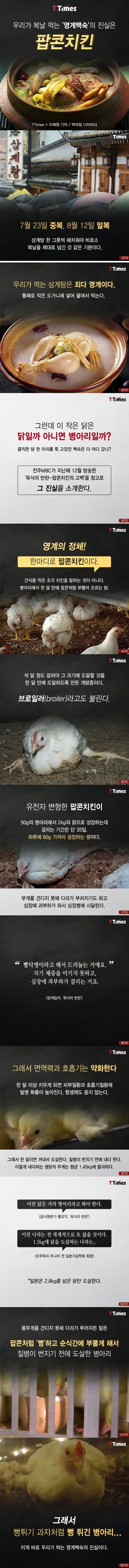 영계백숙의_진실.jpg