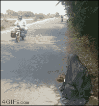 카레국클라스.gif
