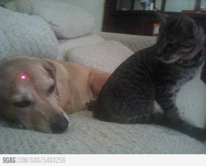 gae fight.jpg