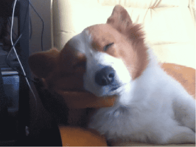 20150803_151421_1355595292.gif