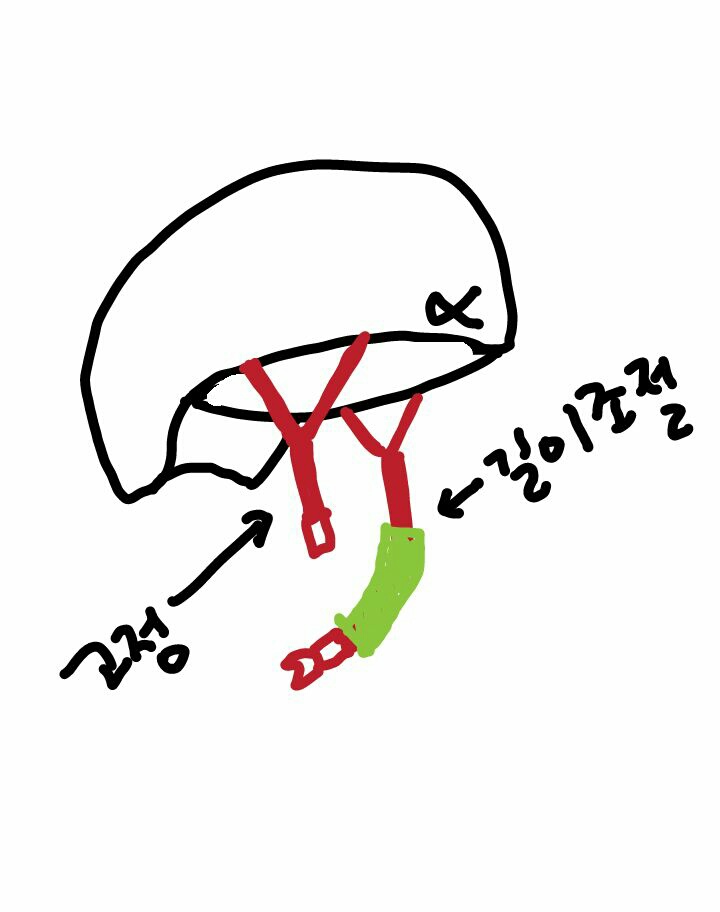KakaoTalk_20141020_075236040.jpg