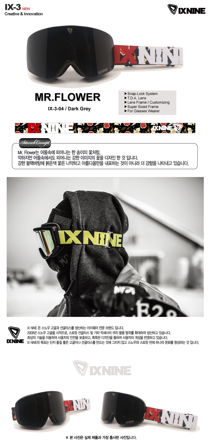 IX3-04-Mr-Flower.jpg