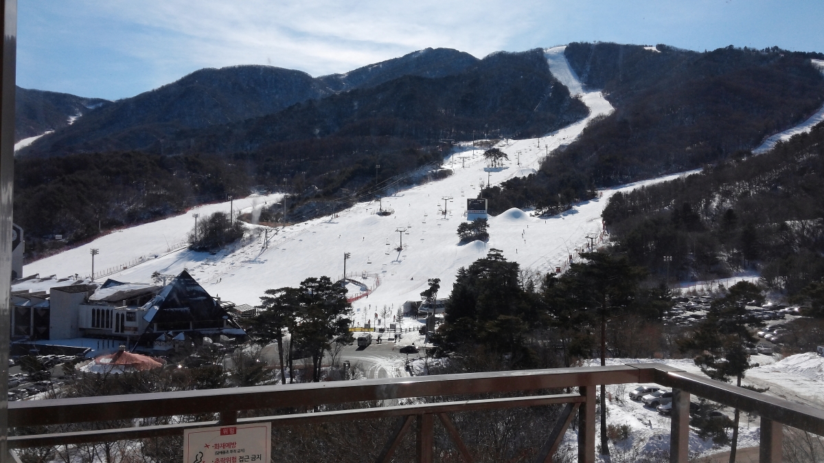 20170126_120501.jpg