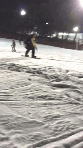 알리.gif